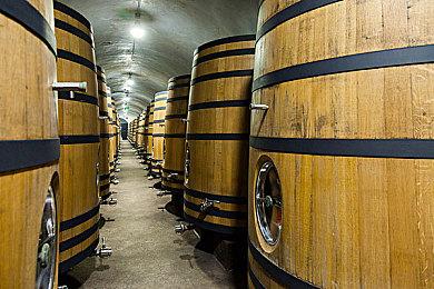 《巫师：天狼星》是多人游戏 《巫师4》或也有多人玩法